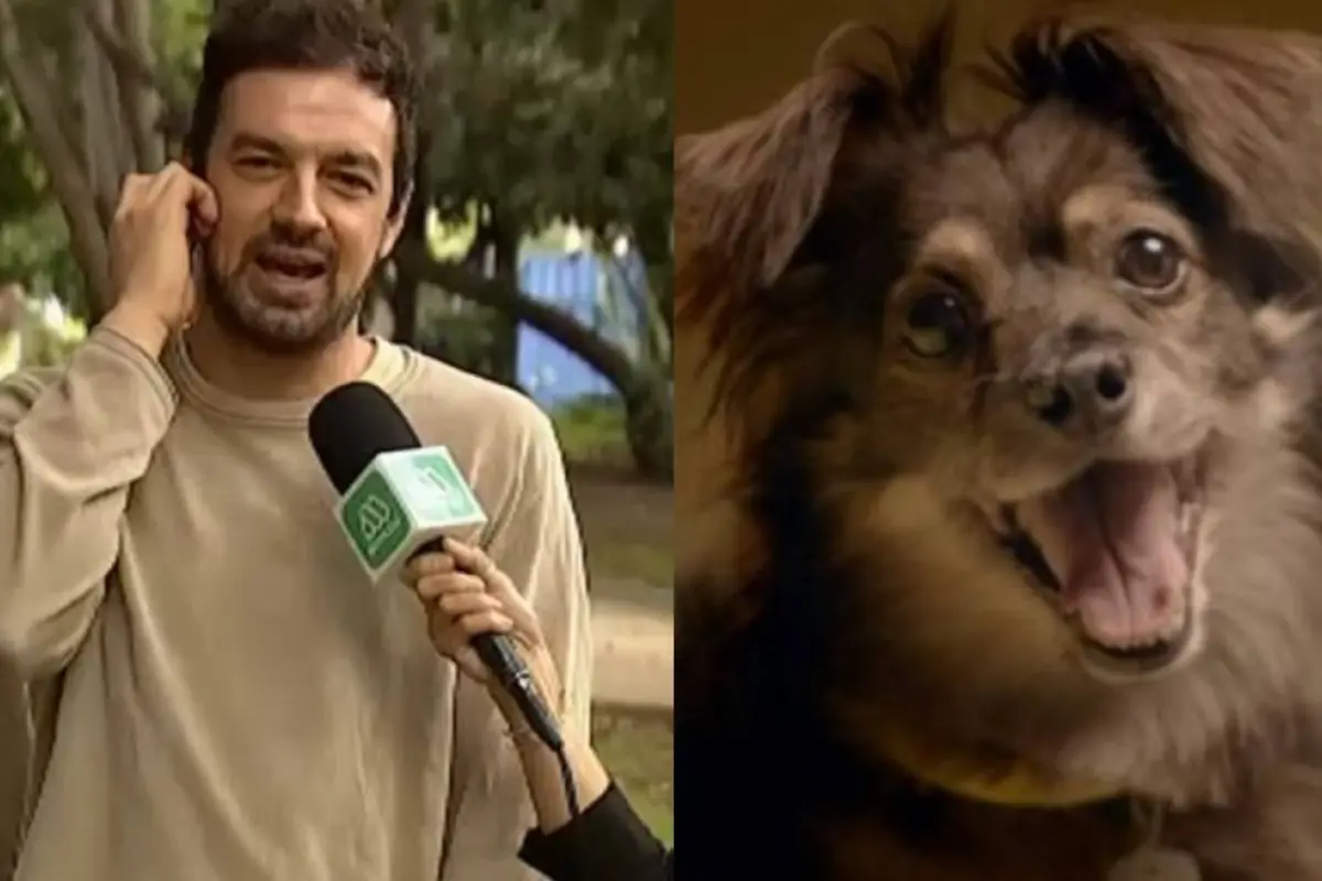 Tomás Vodanovic se ''decepcionó'' del perrito de Lipigas, Redes sociales | Referencial