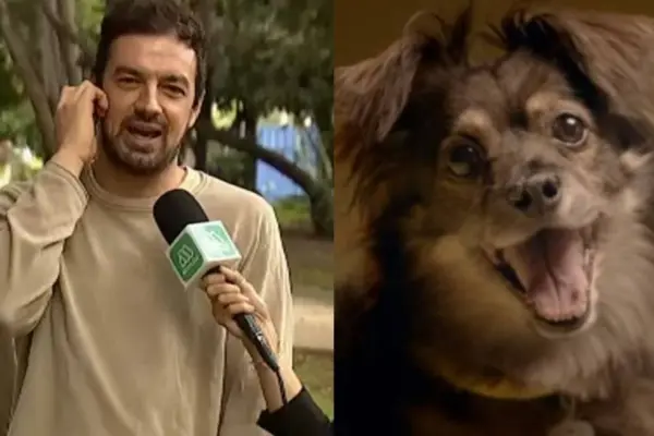 Tomás Vodanovic se ''decepcionó'' del perrito de Lipigas ,Redes sociales | Referencial