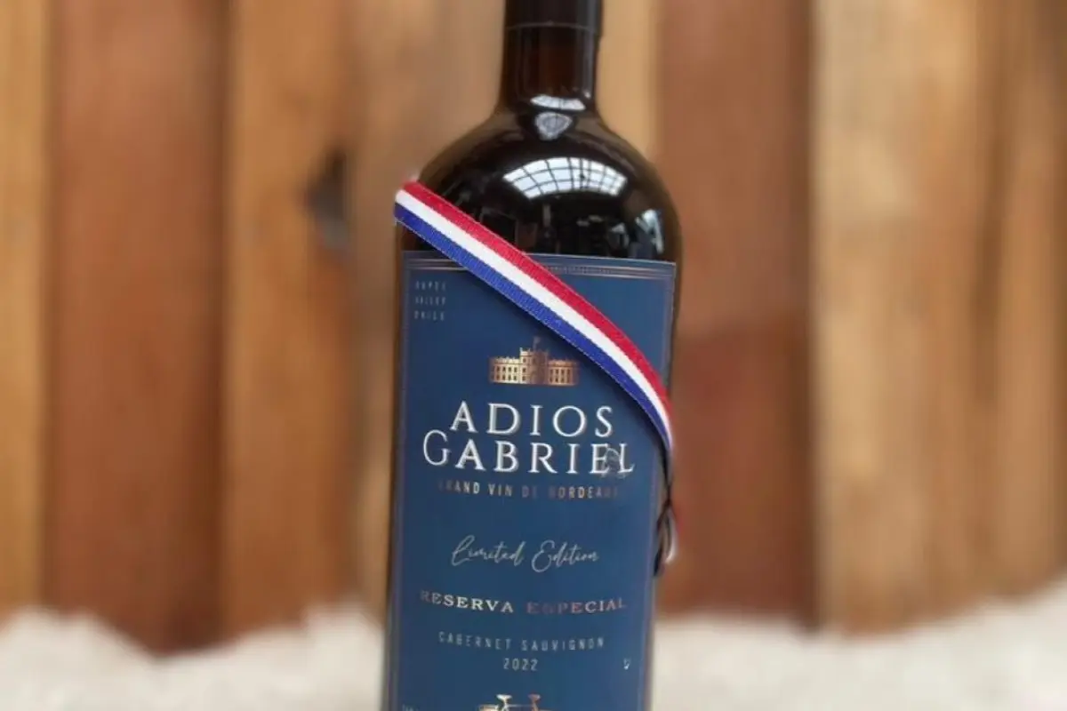 Adiós Gabriel , Redes sociales | Referencial