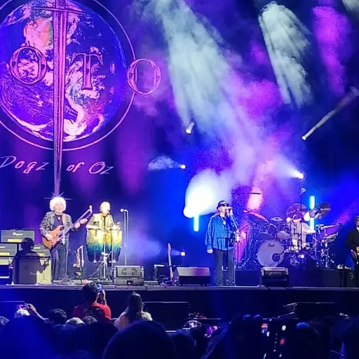 Toto conquistó el Claro Arena: Así suena la magia en vivo  ,Captura