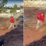 Lota, redes sociales