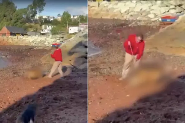 Lota ,redes sociales