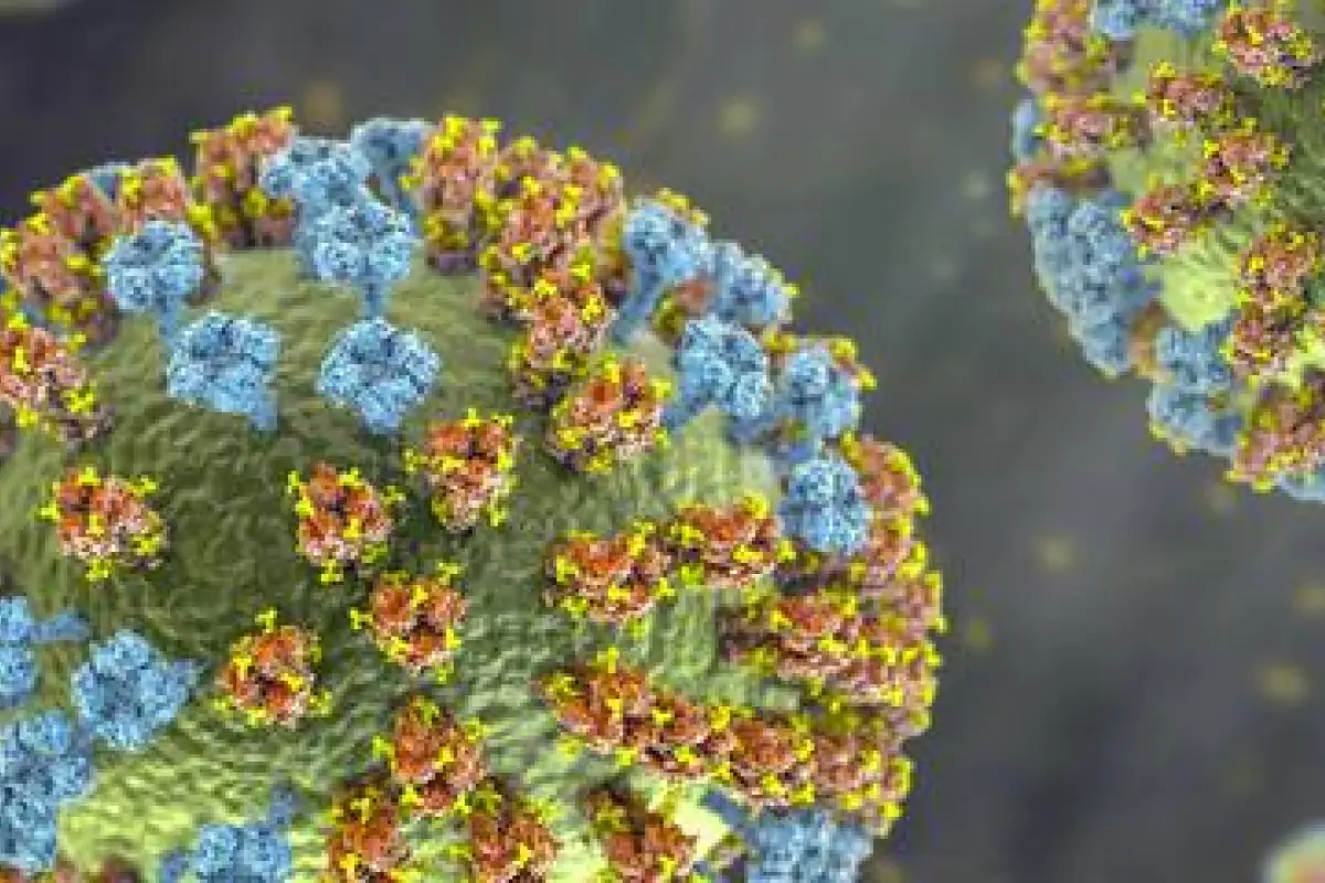 Virus H3N2, Red salud