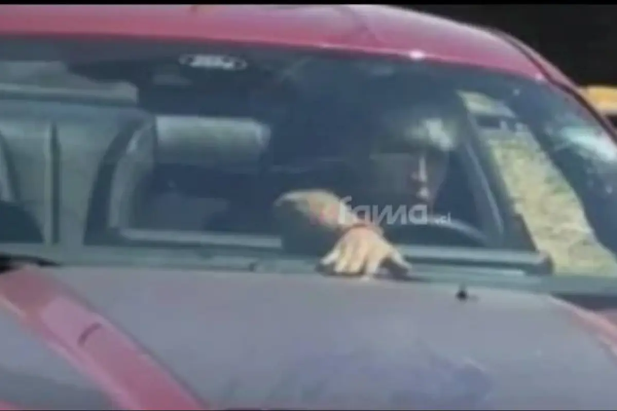 artista urbano, Instagram