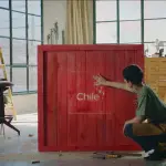 Marca Chile para el mundo, red X