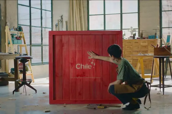 Marca Chile para el mundo ,red X