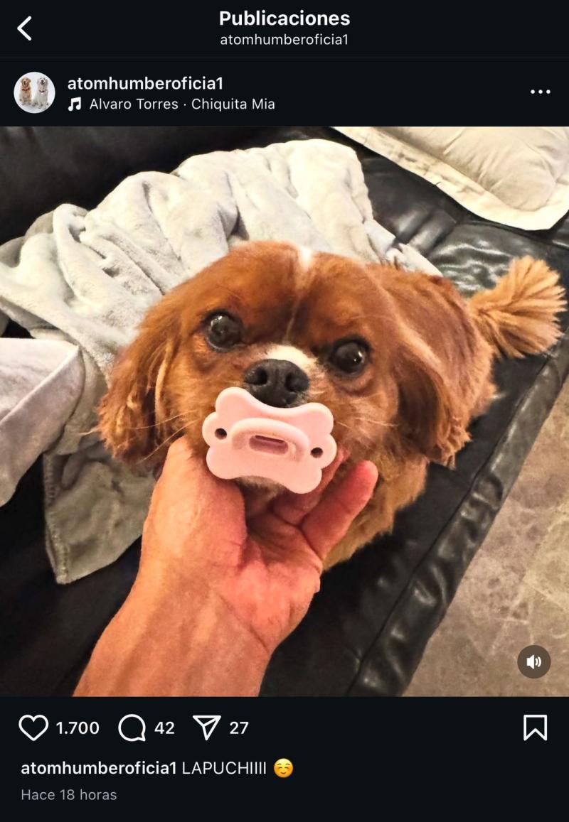 El nuevo integrante de la familia de Alexis Sánchez - Captura | Instagram