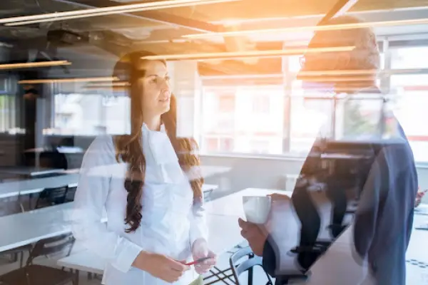 Sociedad de Responsabilidad Limitada en Chile ,Cedida