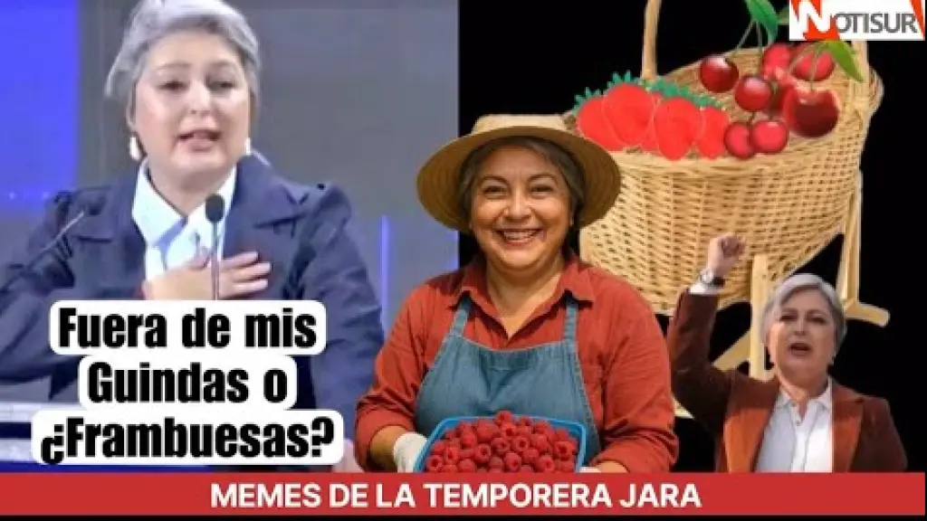 Meme de candidata Jeanette Jara - Google