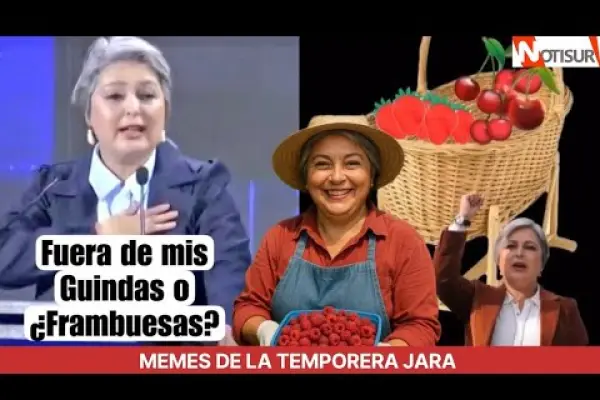 Meme de candidata Jeanette Jara ,Google