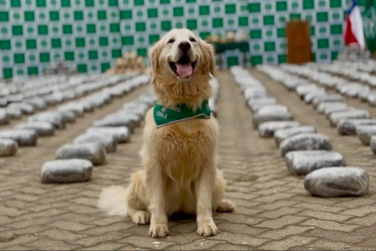 Carabineros de Chile, Cedida