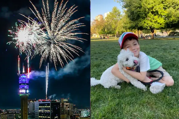 Las mascotas sufren con los fuegos artificiales ,red X