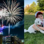 Las mascotas sufren con los fuegos artificiales, red X