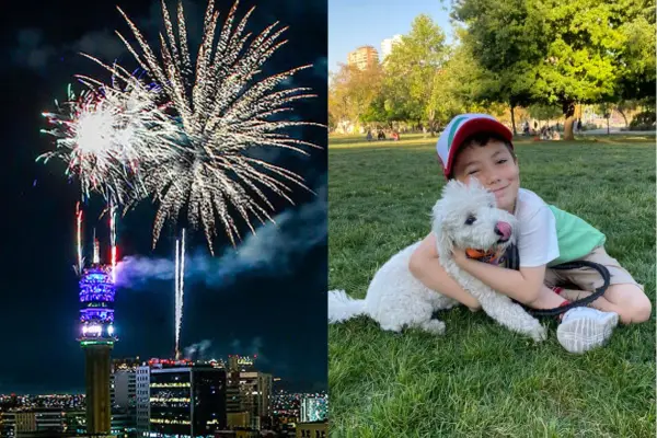 Las mascotas sufren con los fuegos artificiales ,red X