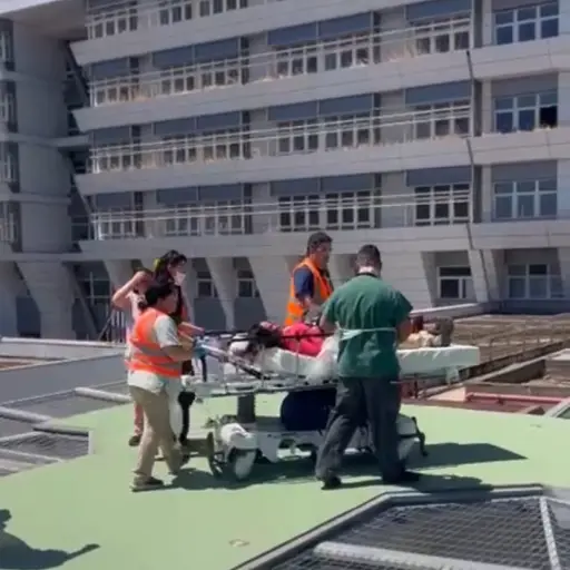 Rescate por Carabineros de Chile - Cedida