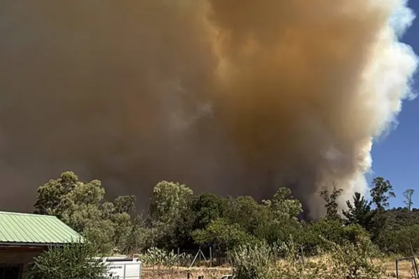 Maule ,redes sociales