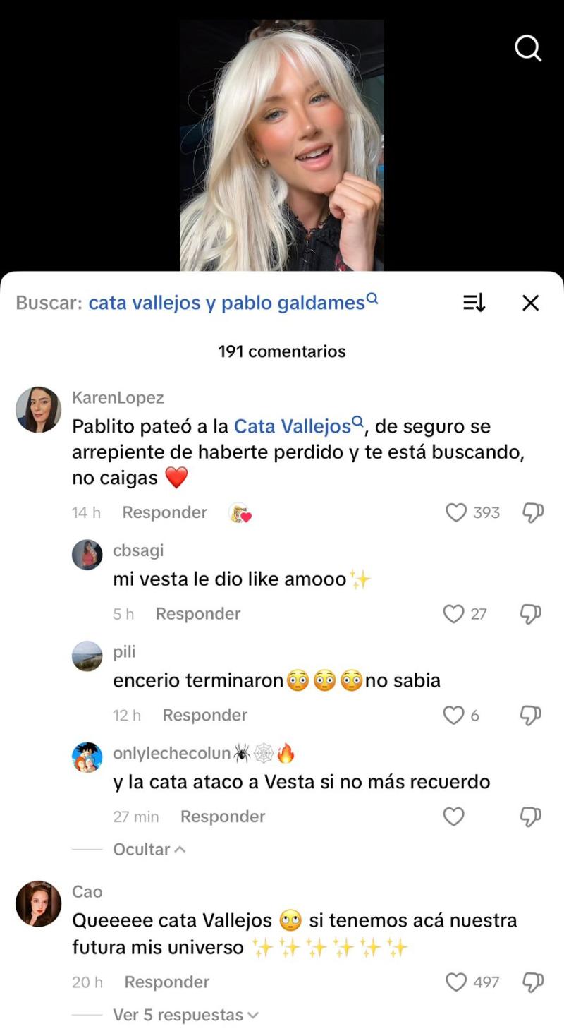 Comentario a Vesta Lugg - Captura de pantalla - AR13