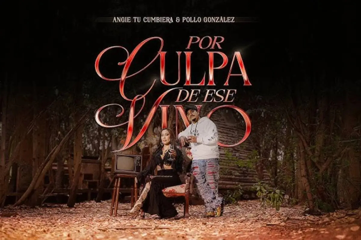 Angie tu Cumbiera y Pollo de Santa Feria, Youtube