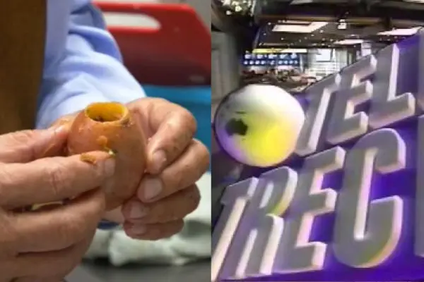 De la TV a trabajar en una cocina ,red X