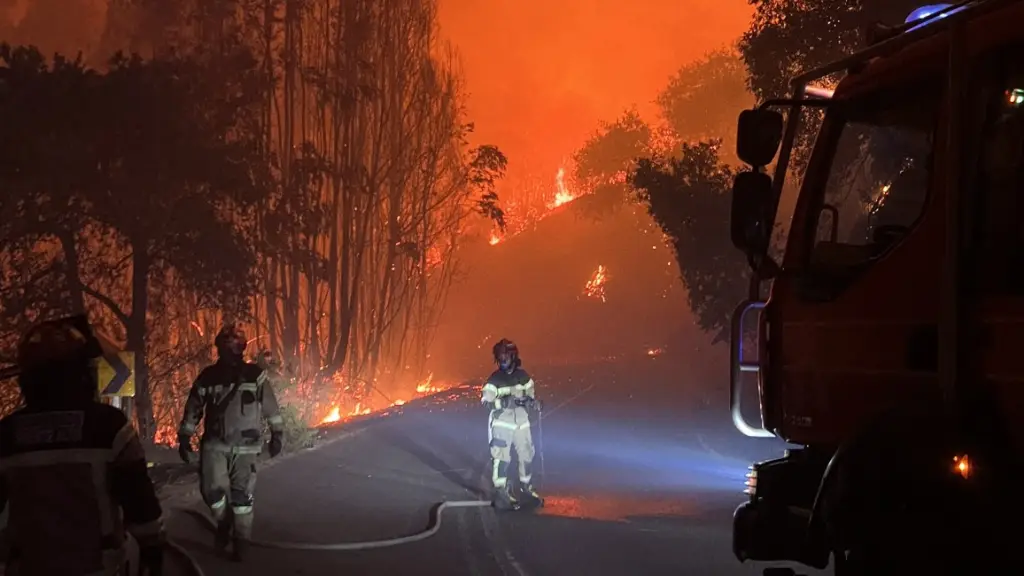 Incendio forestal - referencial