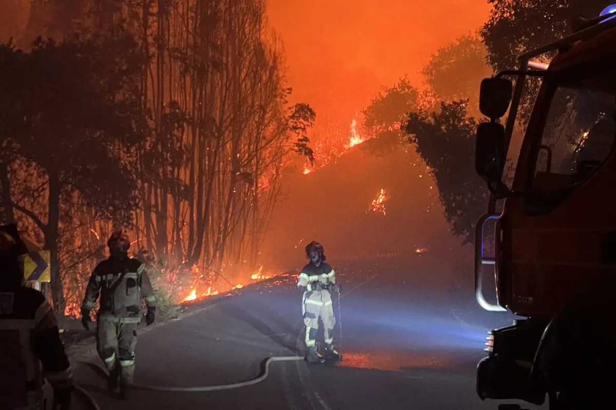 Incendio forestal, Google
