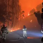 Incendio forestal, Google