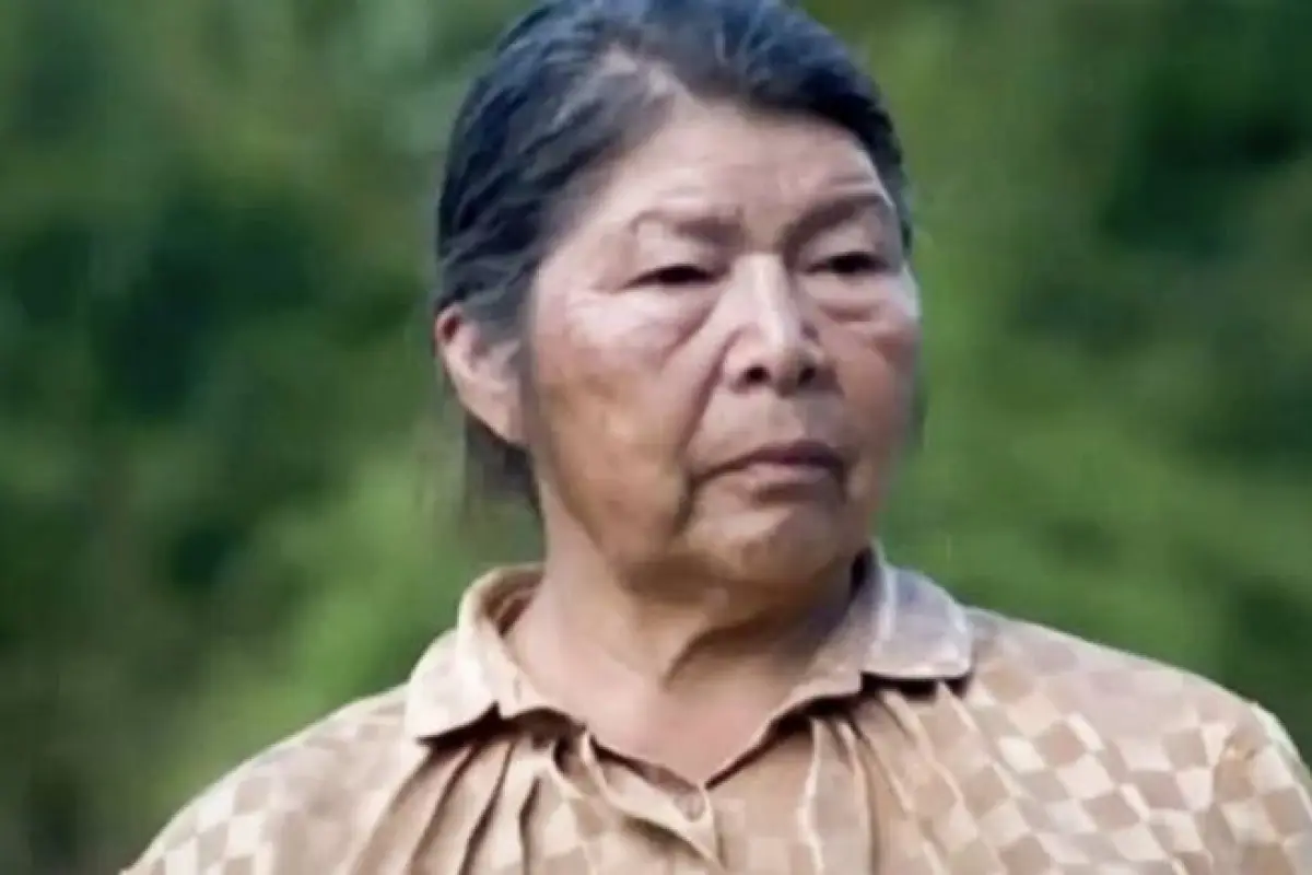 Julia Chuñil, redes sociales