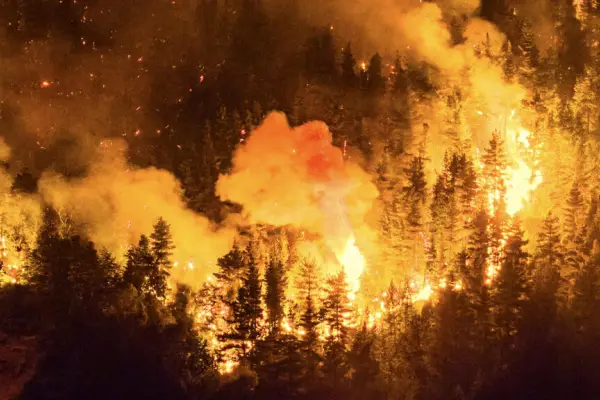   ,Incendios en la Patagonia - France 24