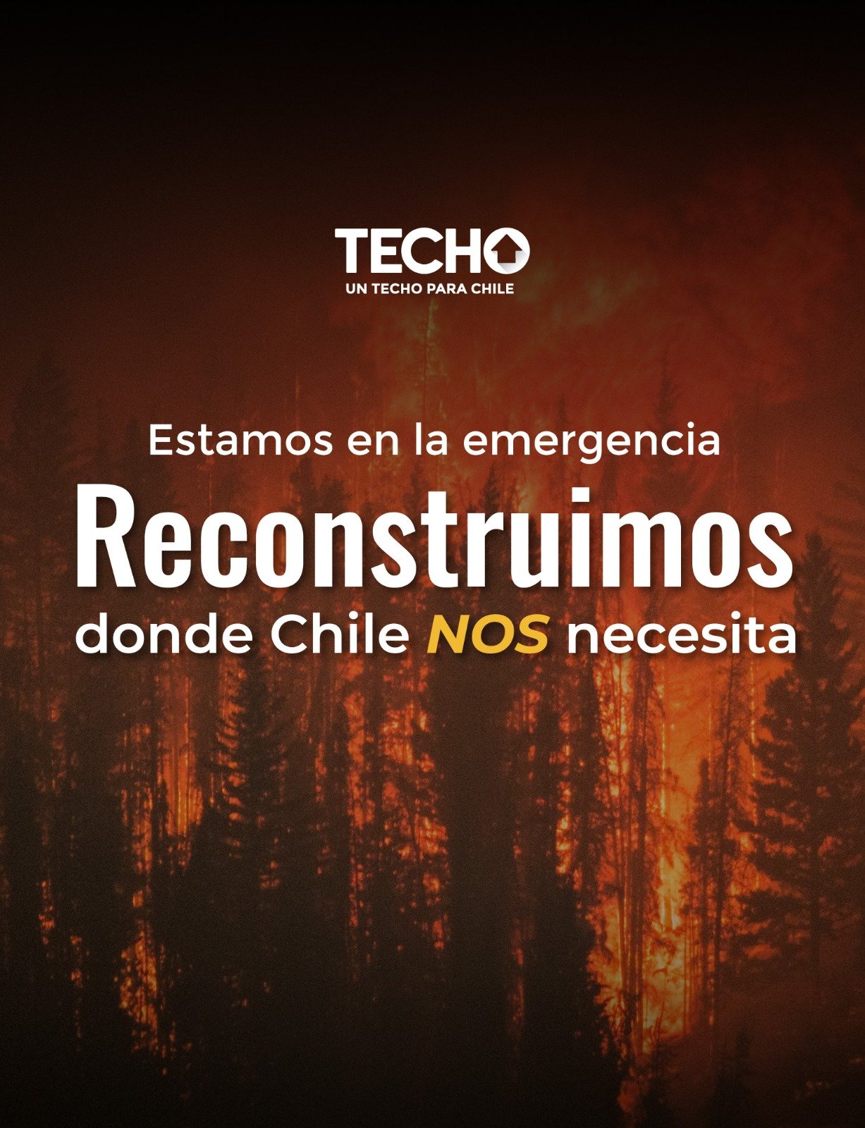 Campaña TECHO-Chile, incendios forestales - TECHO-Chile