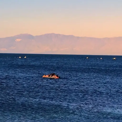 Rescate por Carabineros de Chile - Cedida