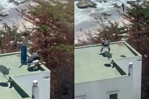 Polluelos fueron lanzados al vacío ,Captura