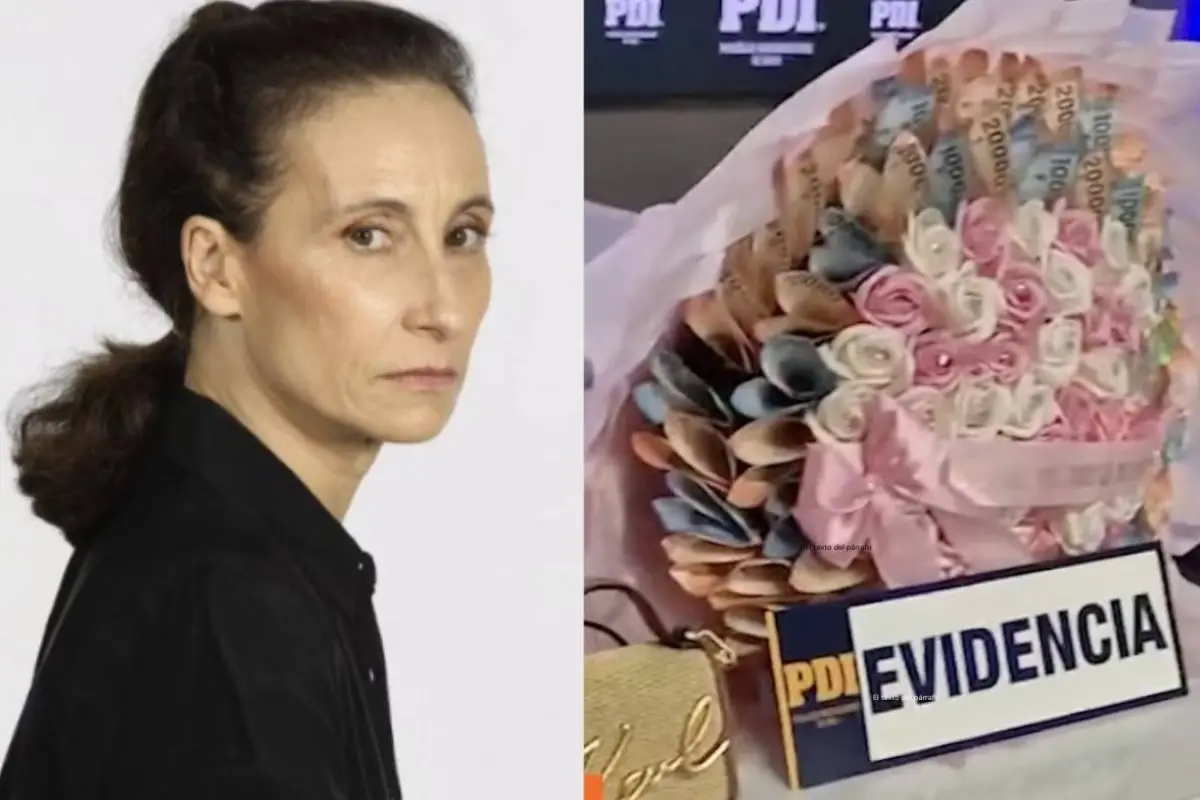 Amparo Noguera, Captura de Chilevisión