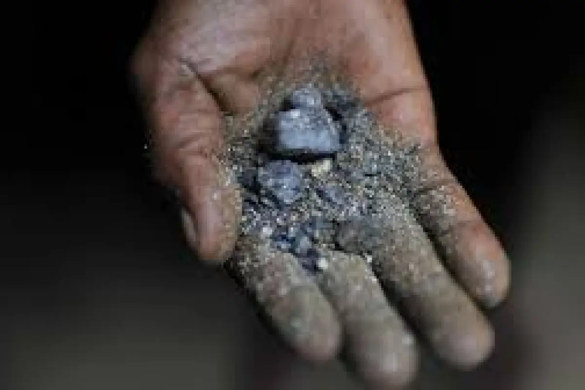 Mineral coltán, Instituto Jane Goodall Argentina