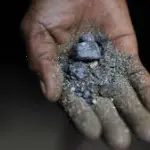 Mineral coltán, Instituto Jane Goodall Argentina