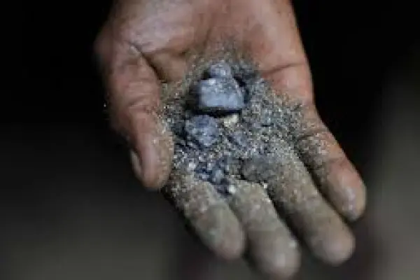 Mineral coltán ,Instituto Jane Goodall Argentina