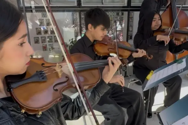 Evento sinfónico de cuerdas  ,Cedida