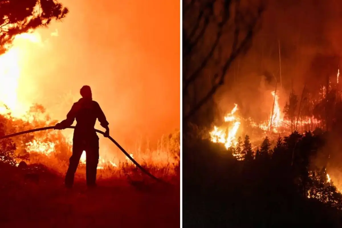 Patagonia argentina afectada por incendio forestal, Cedida