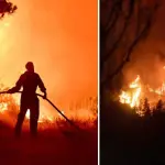 Patagonia argentina afectada por incendio forestal, Cedida