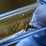 Dengue fue detectado en Aeropuerto de Santiago, Redes sociales | Referencial