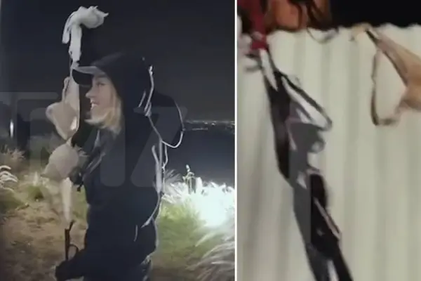 Sydney Sweeney cuelga ropa interior en cartel de Hollywood ,TMZ