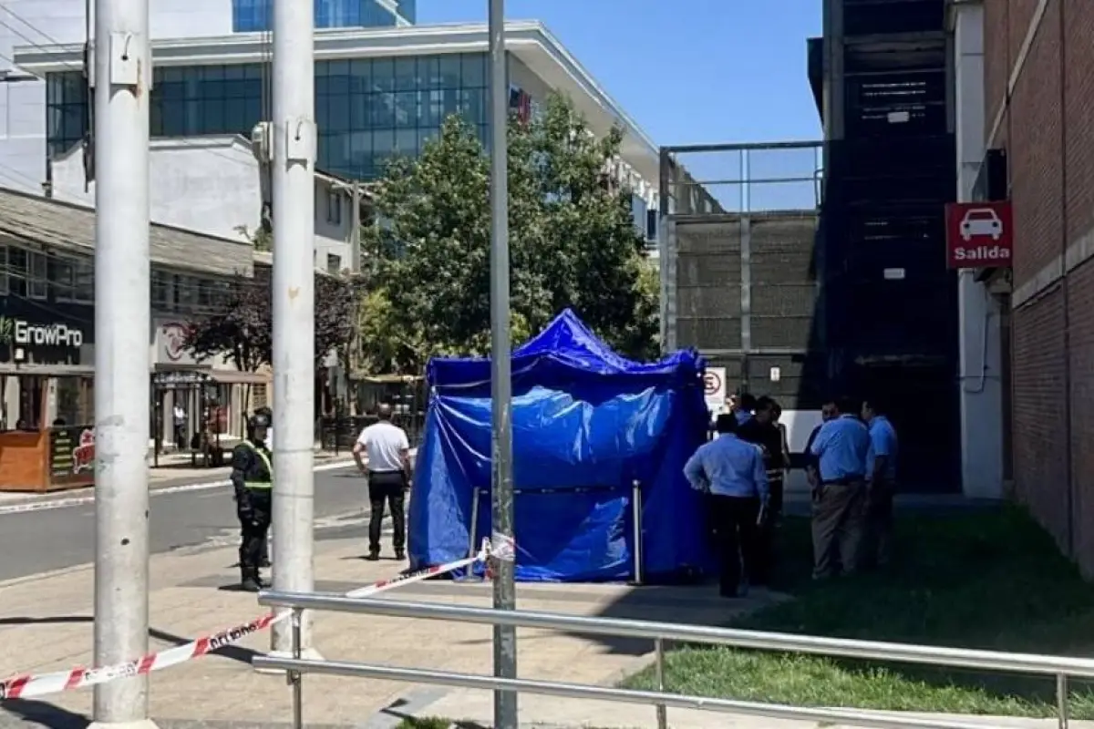 Viña del Mar, Puranoticia