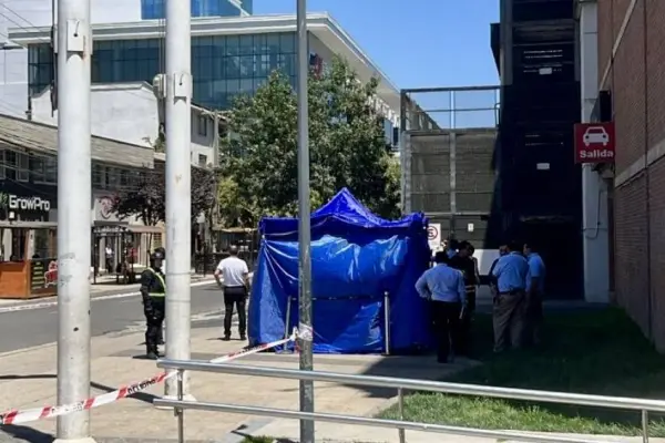 Viña del Mar ,Puranoticia