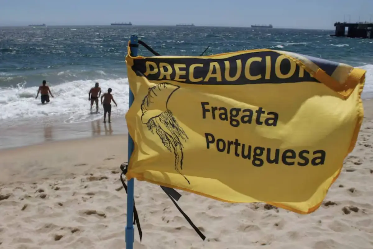 Fragata portuguesa, redes sociales