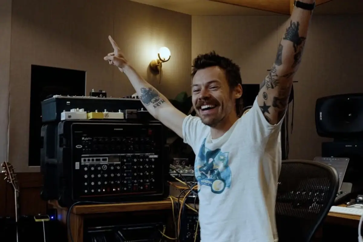 Harry Styles, Redes Sociales