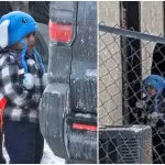 Autoridades ICE arrestan al niño, Columbia Heights Public Schools