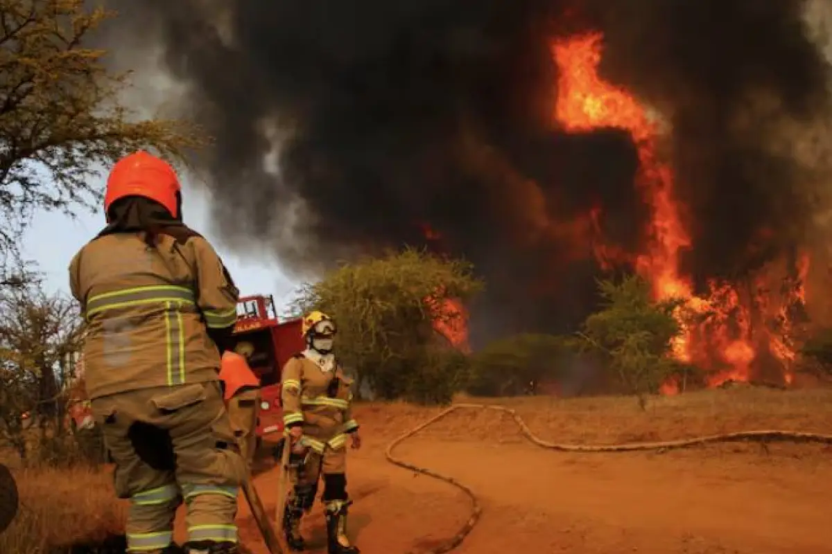 Incendio forestal, Agencia Uno 