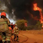 Incendio forestal, Agencia Uno 