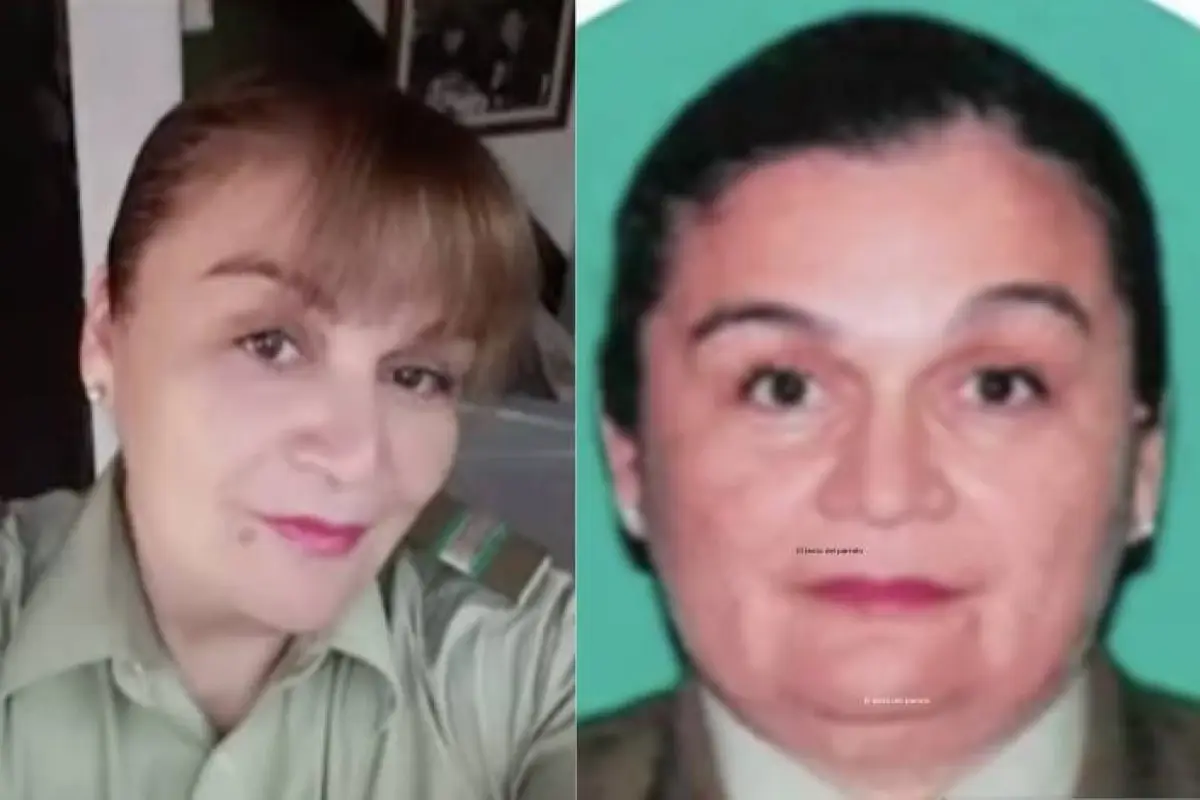 Robo Brinks, Captura de Mega