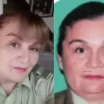 Robo Brinks, Captura de Mega