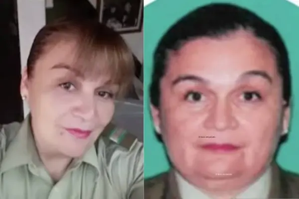 Robo Brinks ,Captura de Mega